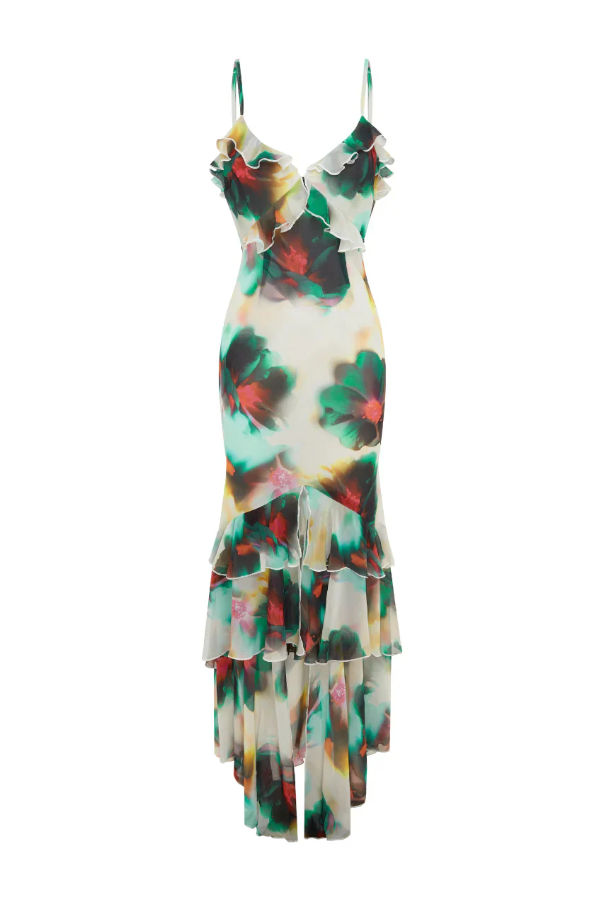 Namara Maxi Dress - Camila Print - Image 5