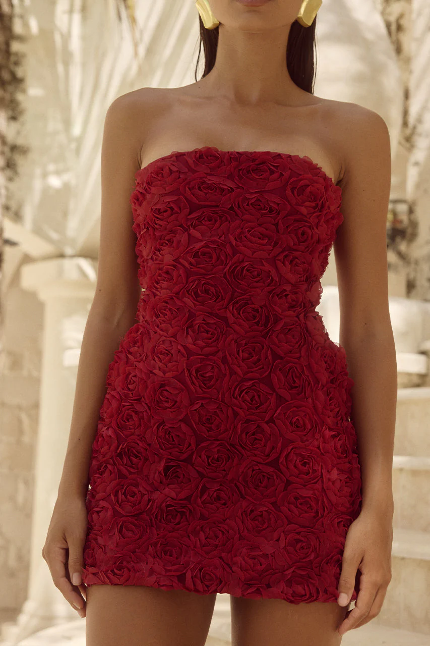 Rosalina Mini Dress - Cherry - Image 5
